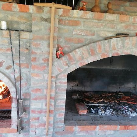 Gajic Baranja Black Hill'S מראה חיצוני תמונה
