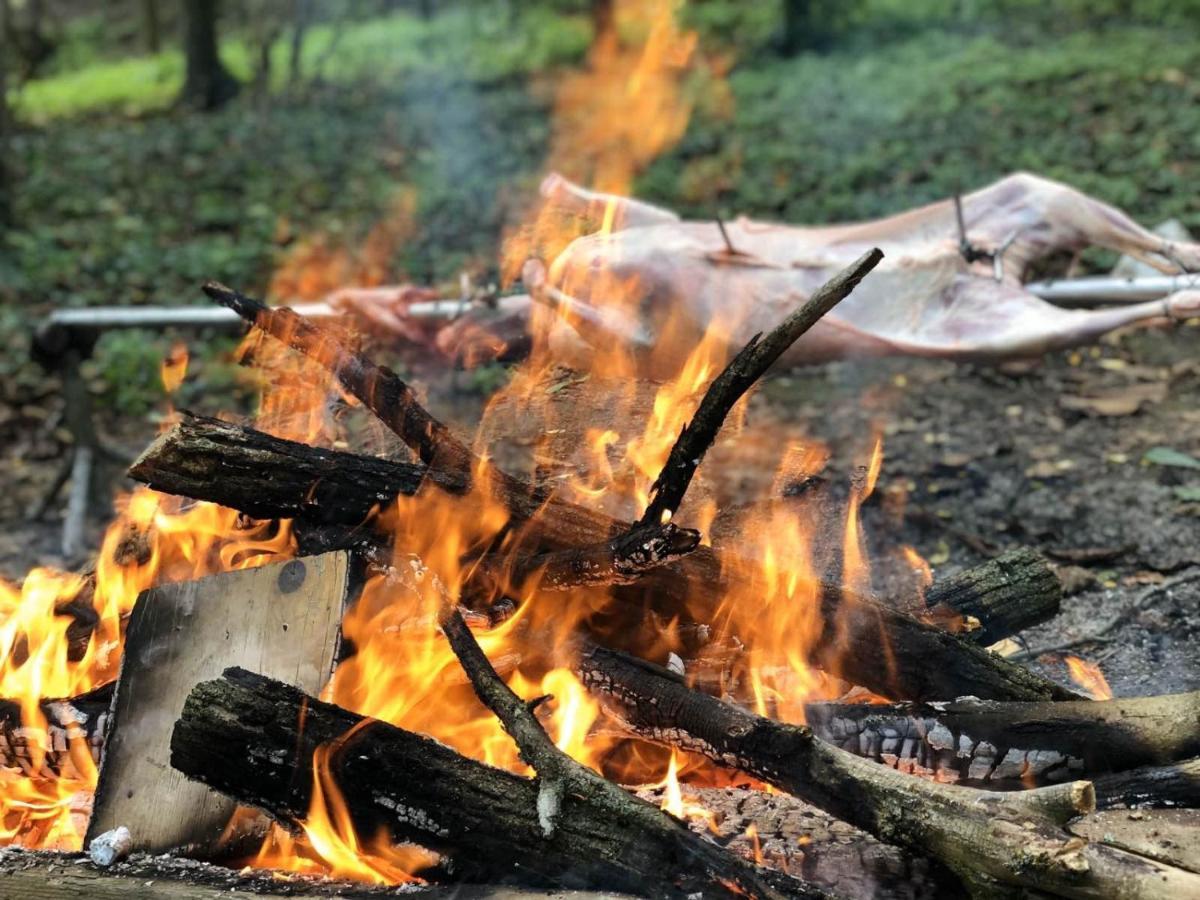 Gajic Baranja Black Hill'S מראה חיצוני תמונה