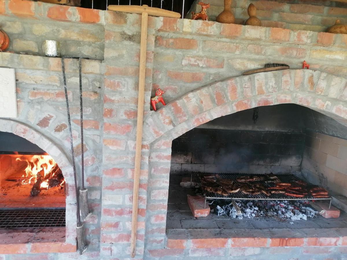 Gajic Baranja Black Hill'S מראה חיצוני תמונה