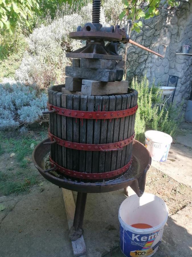 Gajic Baranja Black Hill'S מראה חיצוני תמונה